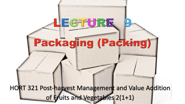 Packaging PPT